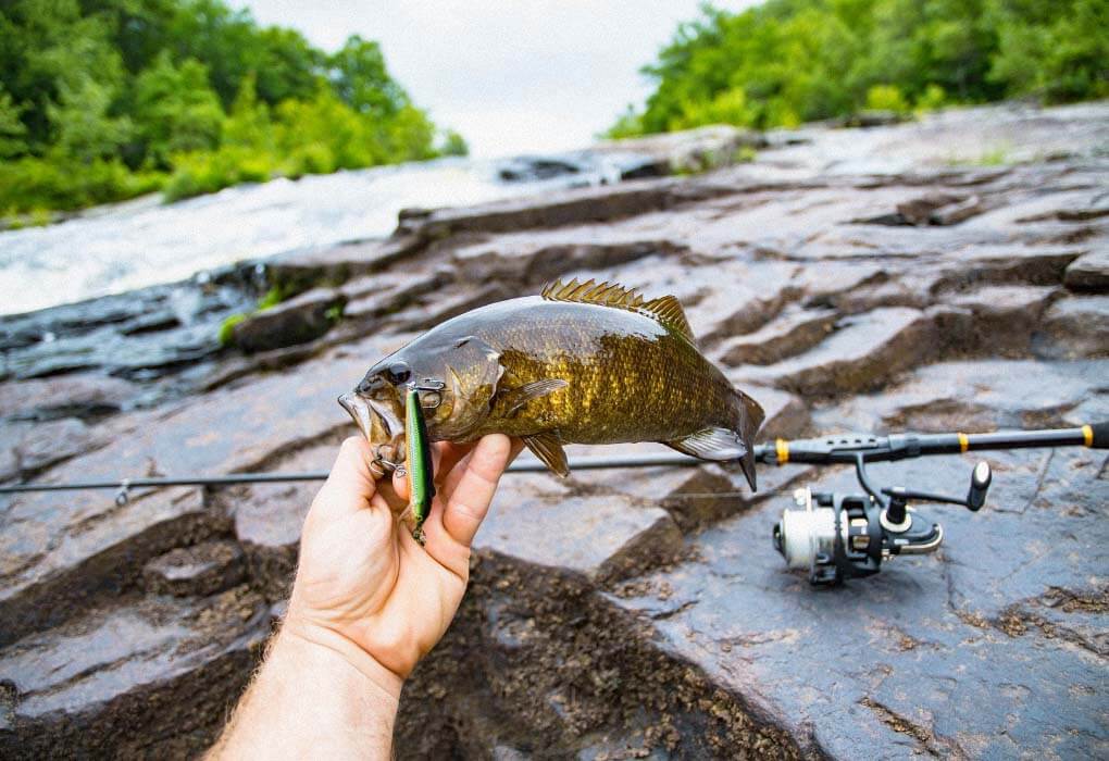 bass fishing with a lure