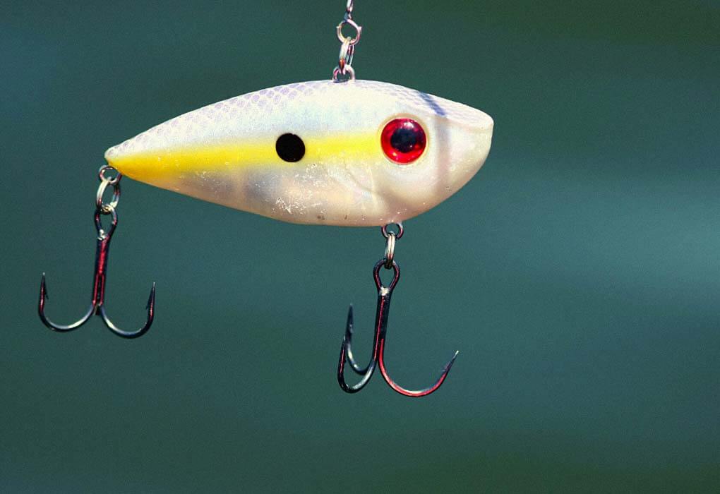 best crankbait lure for bass fishing