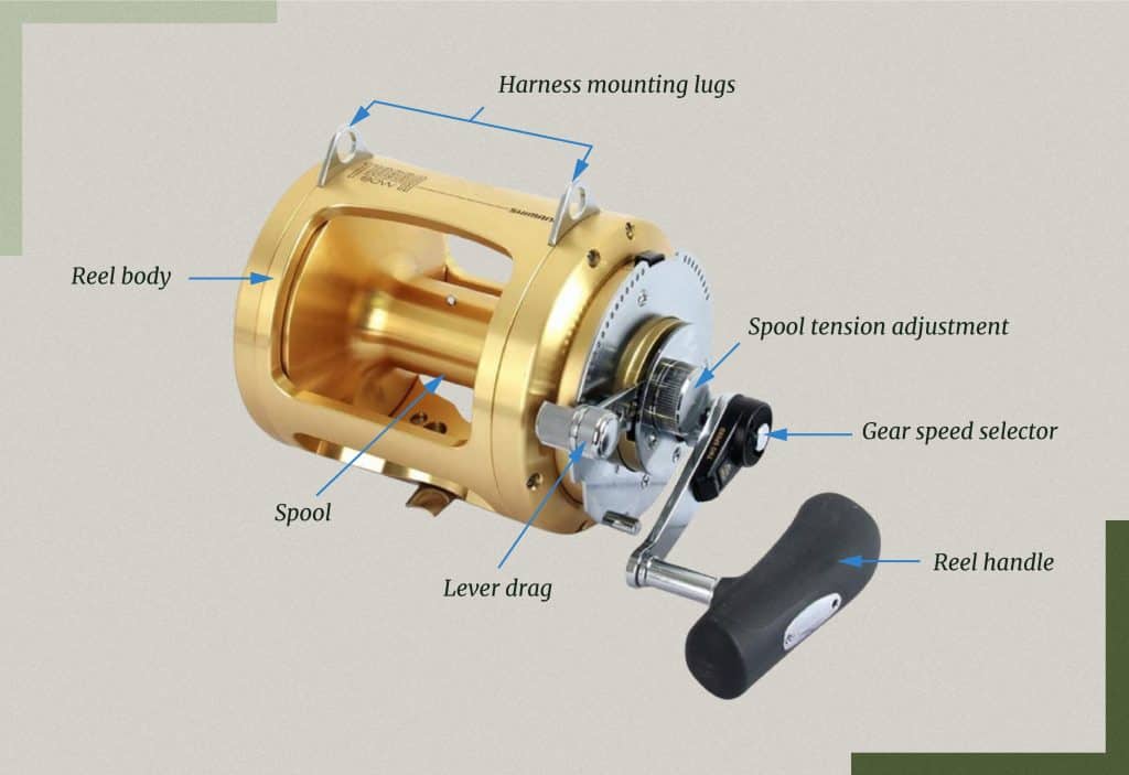best fishing conventional and trolling reels