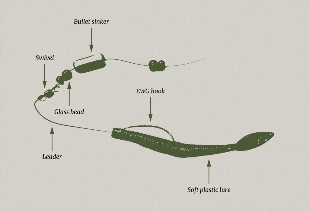 carolina rig setup for bass fishing