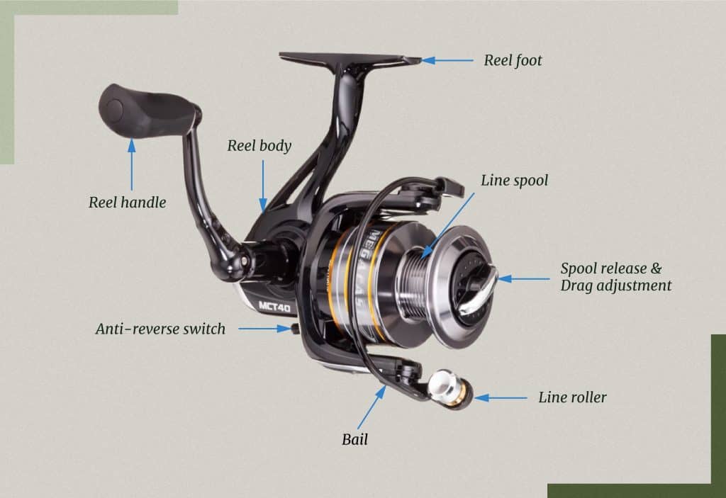 best fishing spinning reel