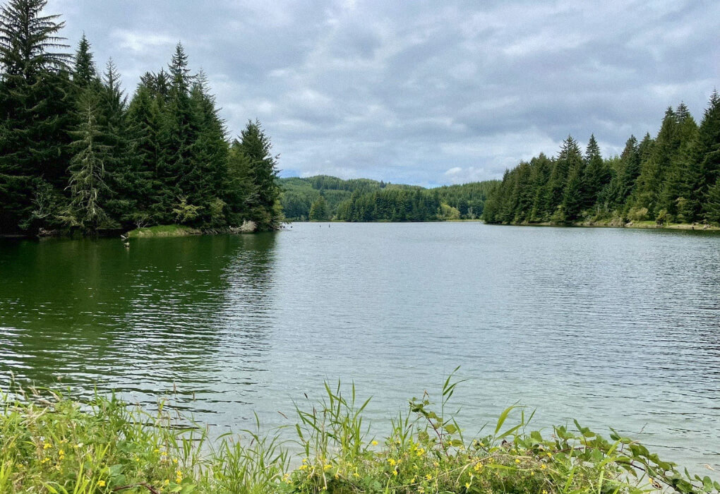 Ollala Lake - best bass fishing in oregon
(photo source: https://www.alltrails.com/trail/us/oregon/ollala-reservoir/photos)