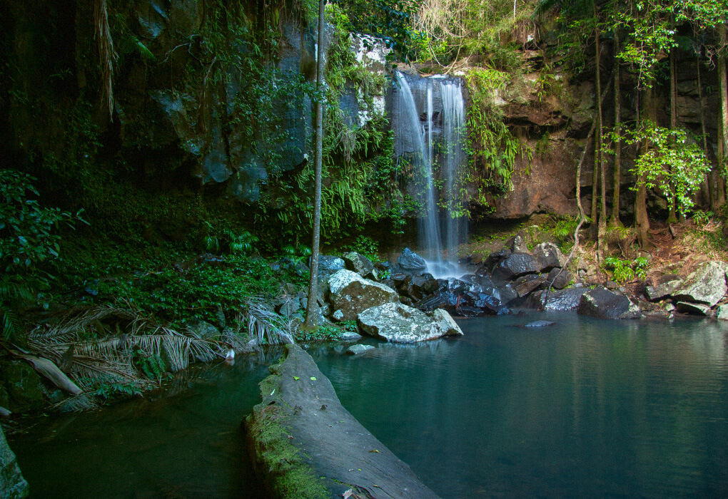 creek flowing into a pond