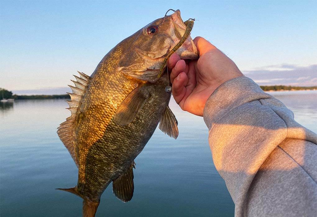 smallmouth bass fishing