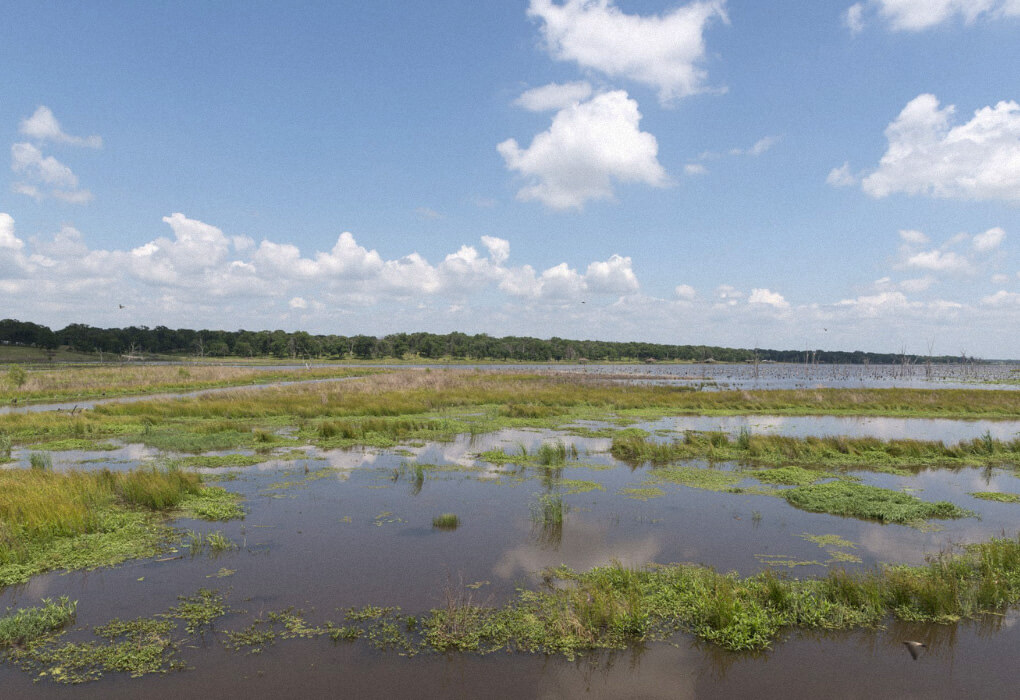 Lake Fork, Texas - place to go for spring bass fishing