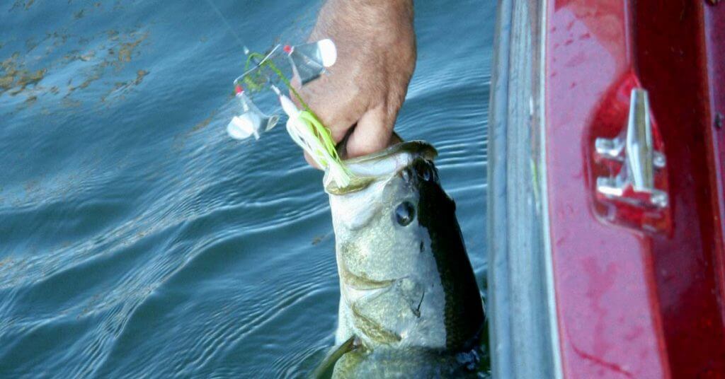 Best Buzzbaits for Bass: Lunkers Love Loud Presentations