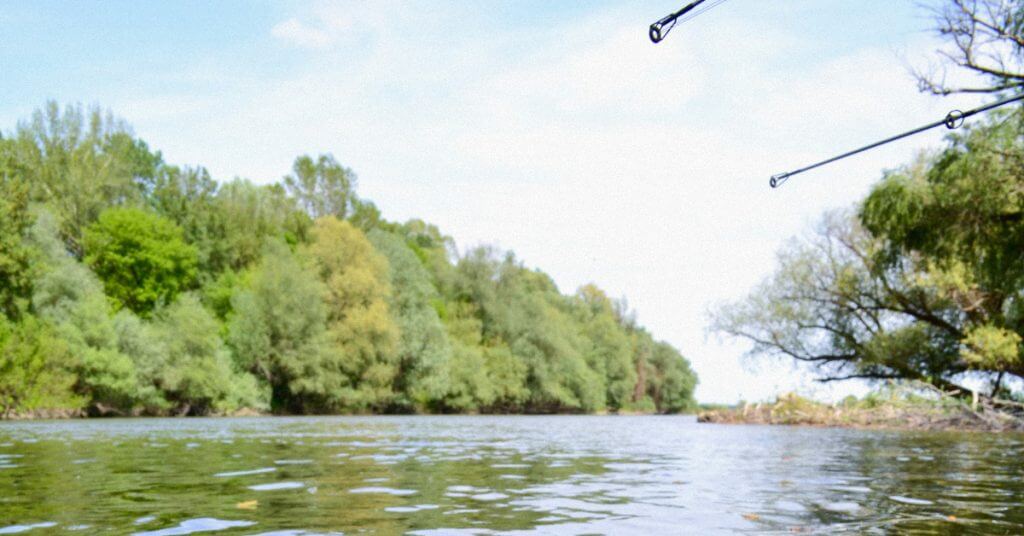 Mastering River Fishing For Bass: The Ultimate Resource