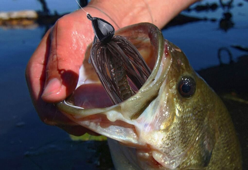 bass jigs - bass fishing lures