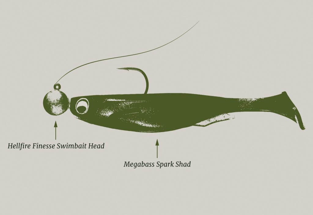 damiki rig setup for bass fishing