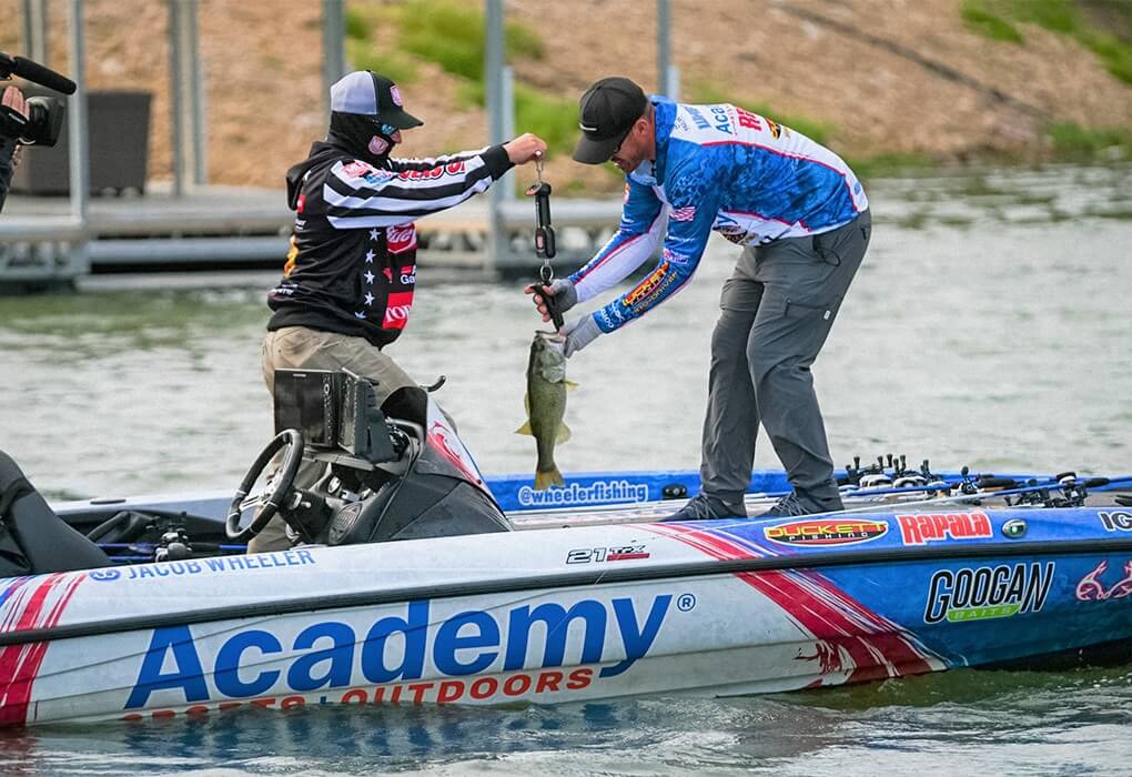 professional angler weigh in a bass fish in Major League Fishing