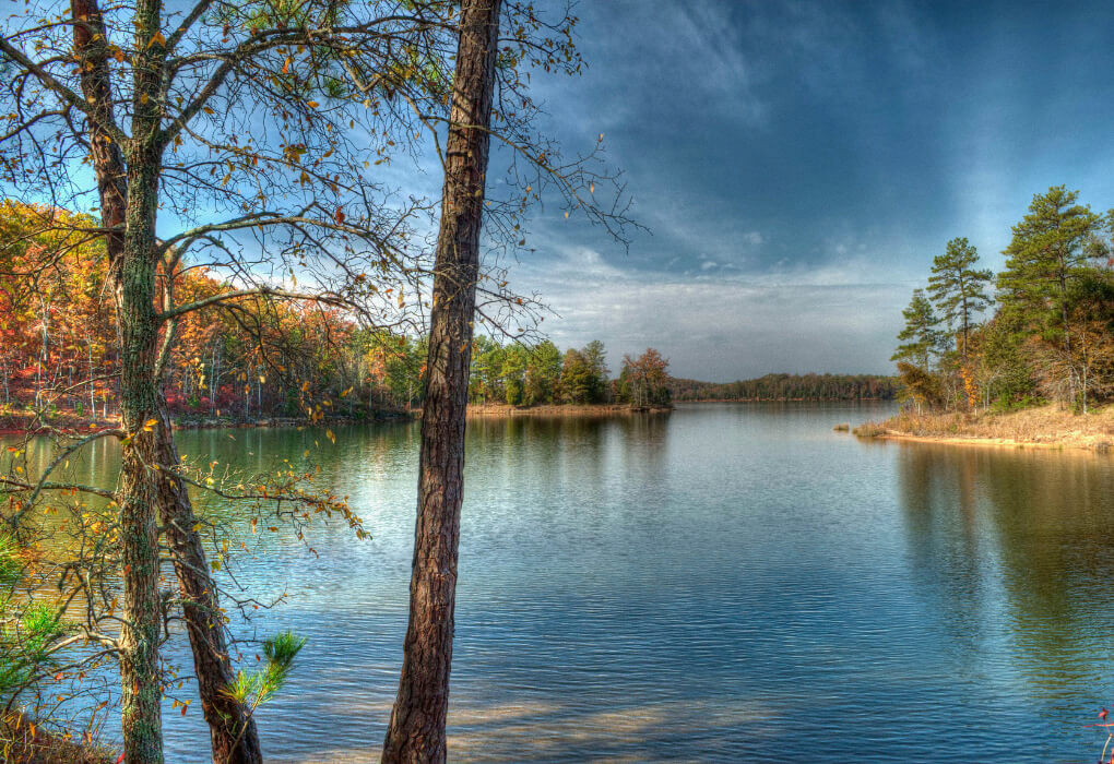 Lake Russell - Bass Fishing South Carolina