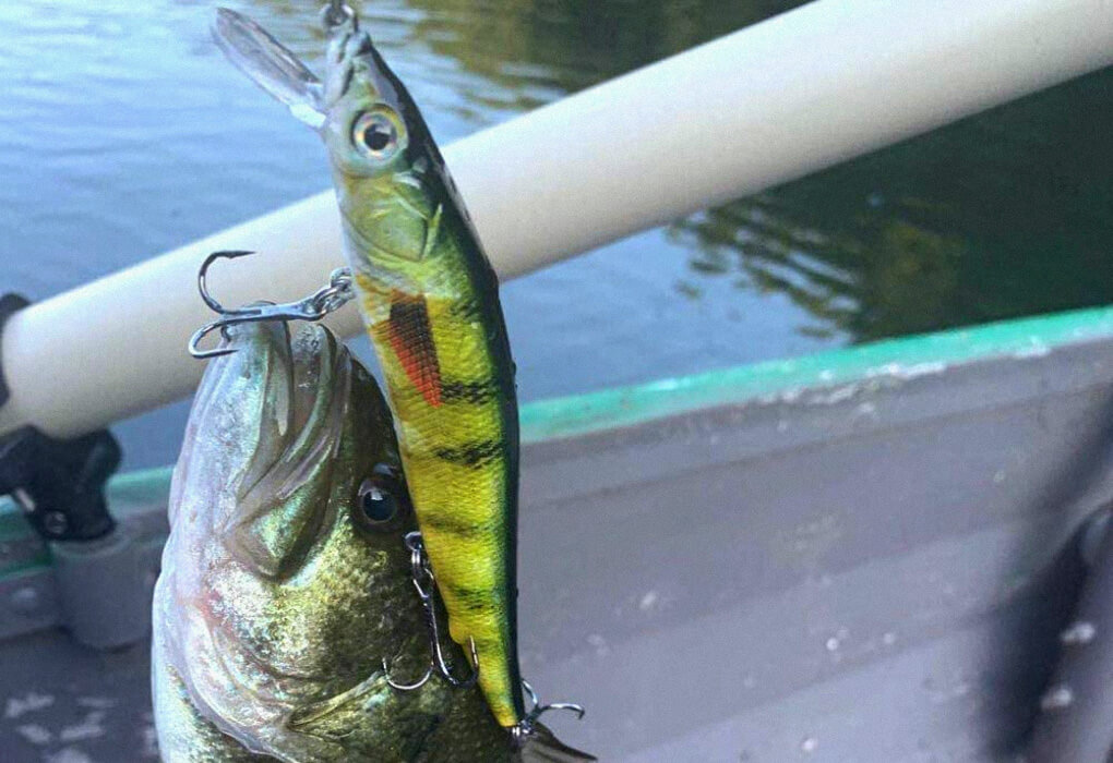 jerkbaits for bass fishing in clear water