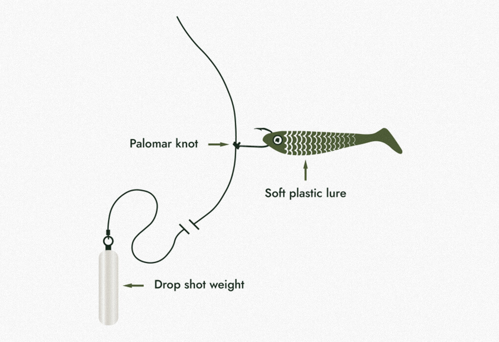 A typical drop-shot setup (illustration by Anglers.com)