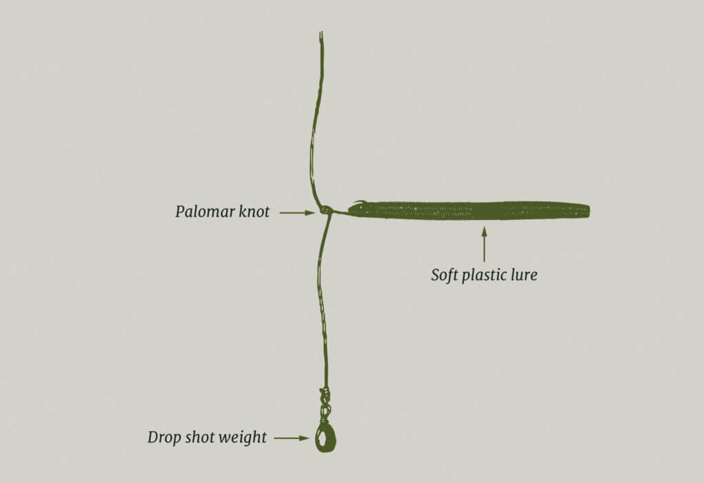 drop shot rig for finesse fishing