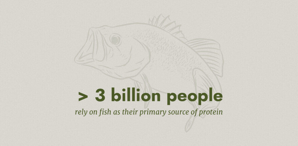 over 3 billion people rely on fish as their primary source of protein