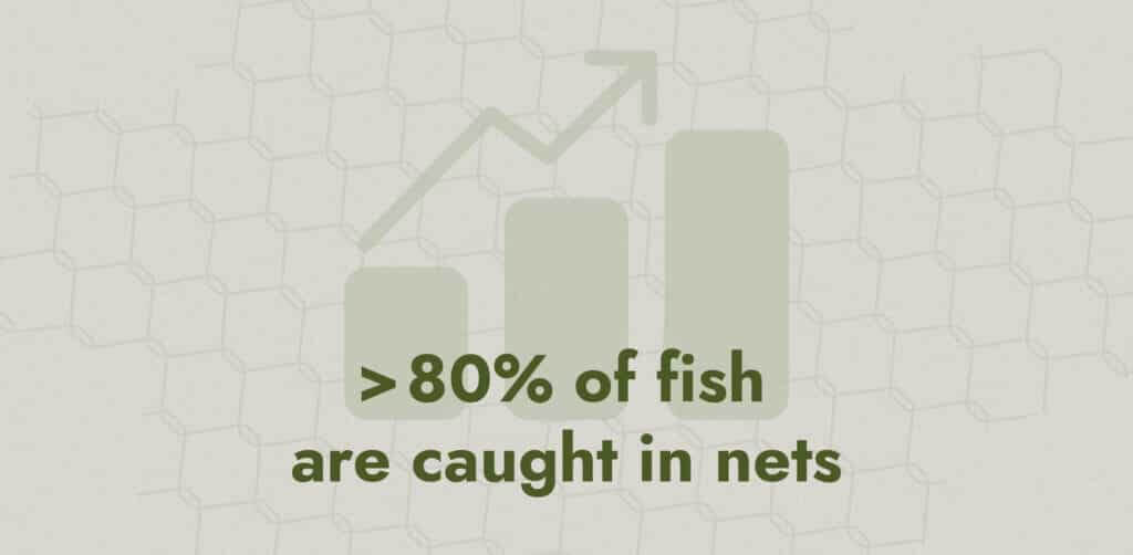 over 80% of fish are caught in nets