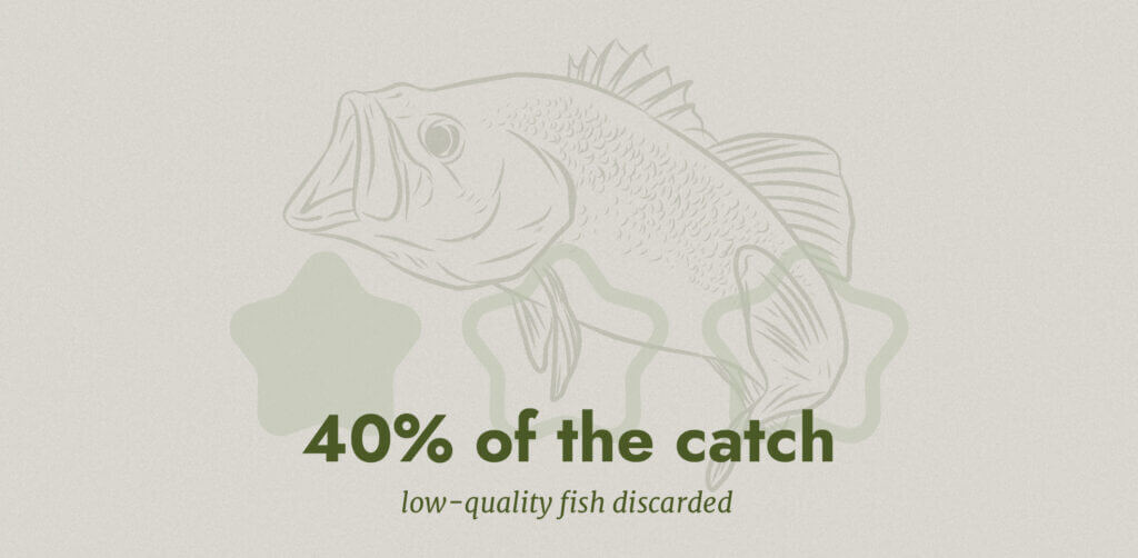 low-quality fish that are discarded made up to 40% of the entire catch