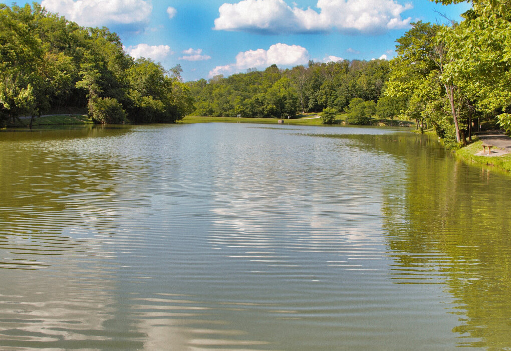 Kentucky (and Barkley) Lake - bass fishing in kentucky