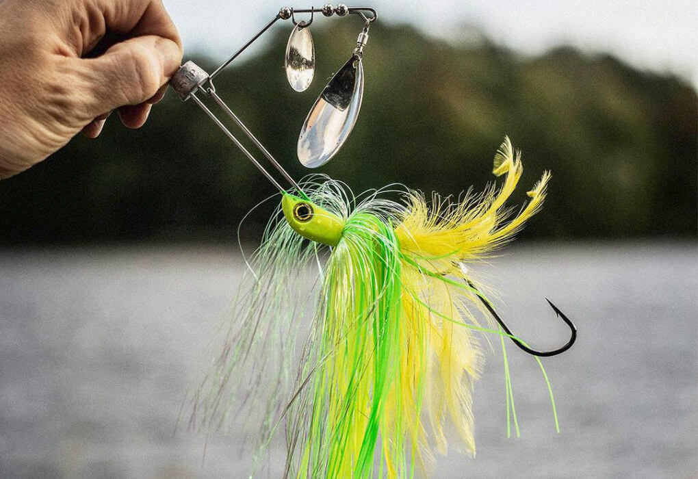 spinnerbait as a post spawn bass lure