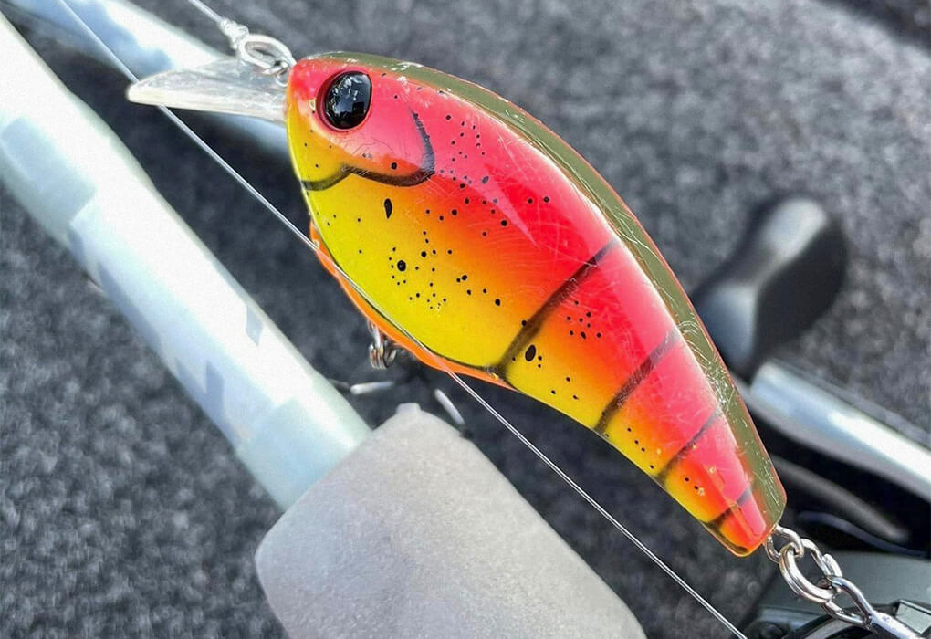 The Frittside is one of Berkley’s crankbaits that Jordan Lee uses to catch big bass (photo courtesy of Jordan Lee)