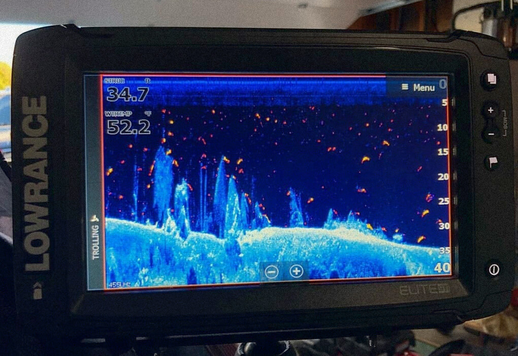 Lowrance Fish eveal Technology