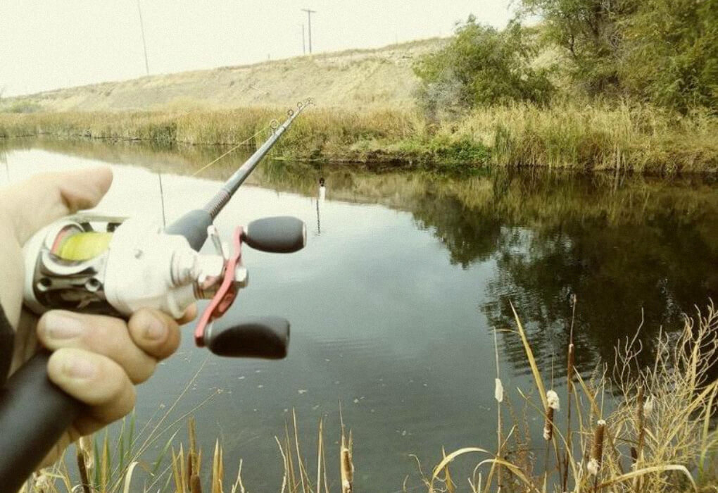 bass fishing in a pond