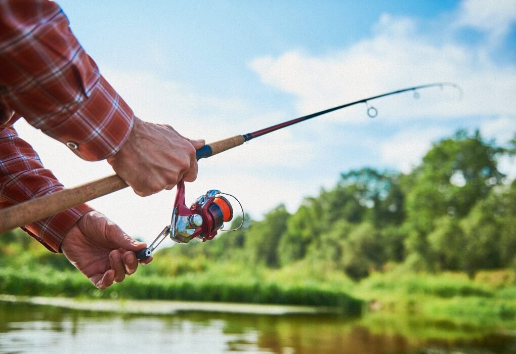 spinning rod for bass fishing using ned rig technique