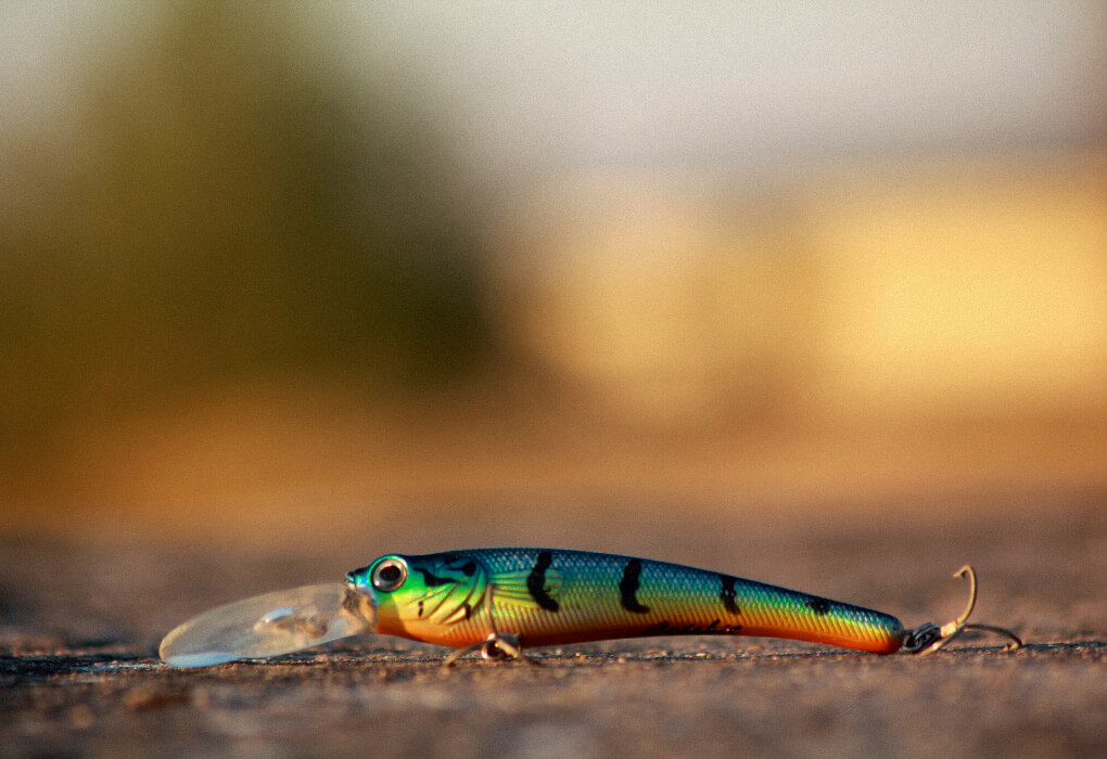 fishing lure for bass fishing on windy days