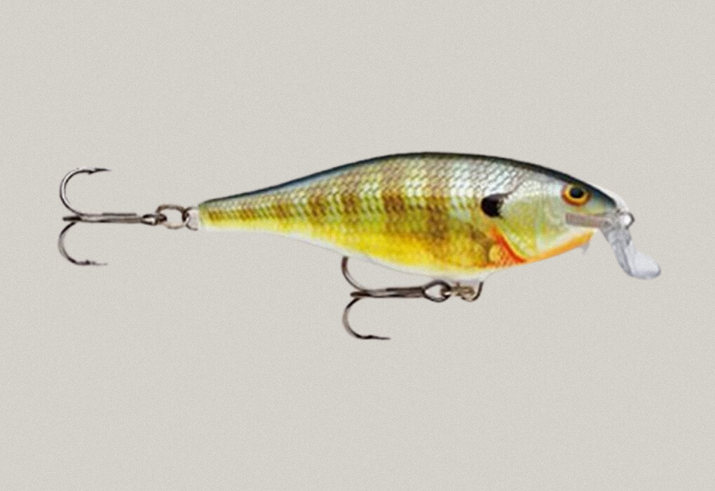 Rapala Shad Rap