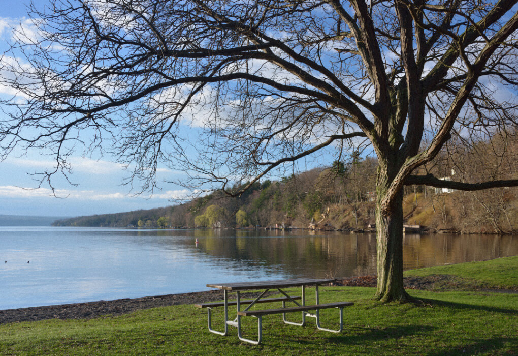 Cayuga Lake - New York bass fishing lake