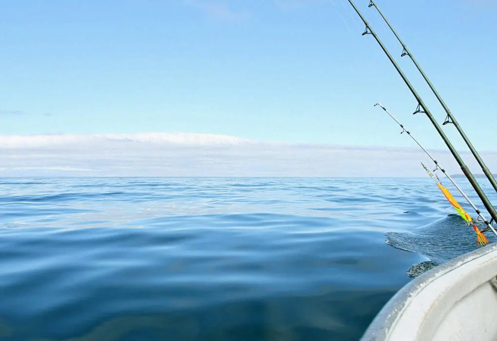 saltwater fishing for bass