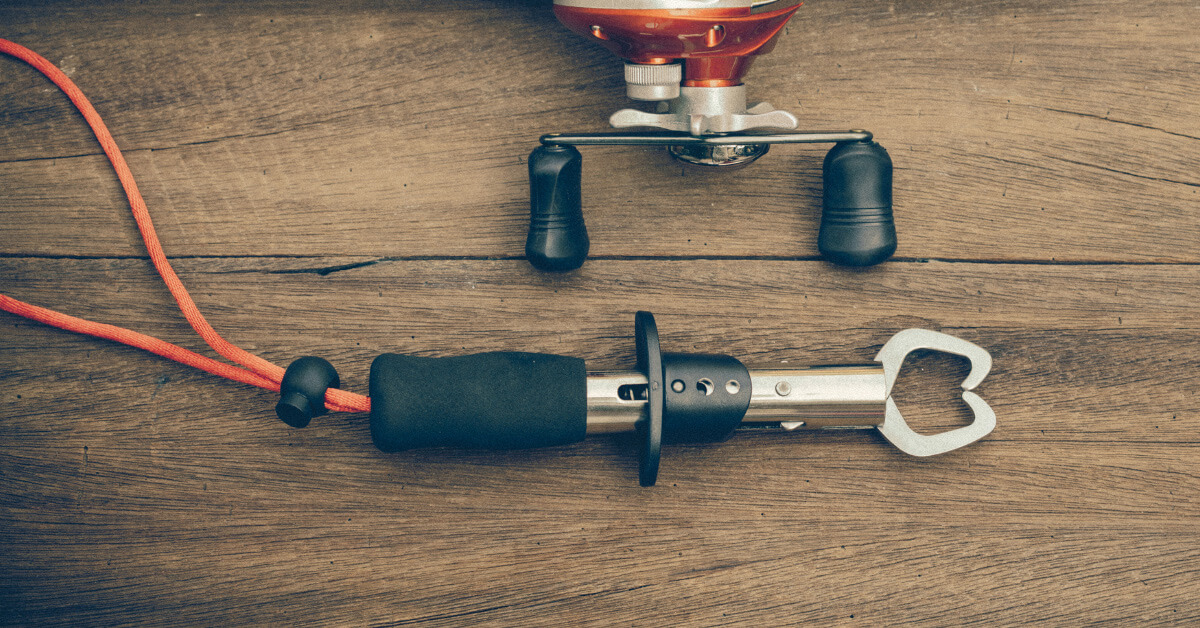 The 5 Best Fish Grippers in 2023: Which Option Is Best for You?
