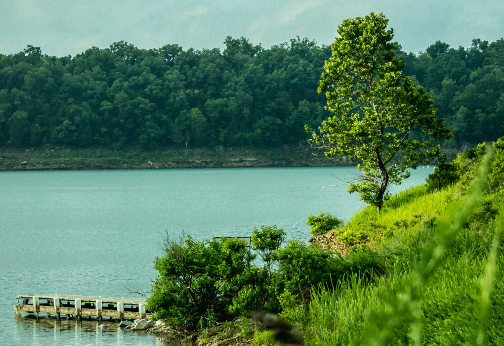 Bull Shoals Lake, location in Missouri for bass fishing