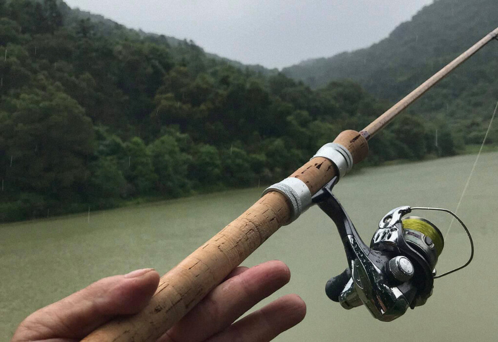 spinning rod for bass fishing