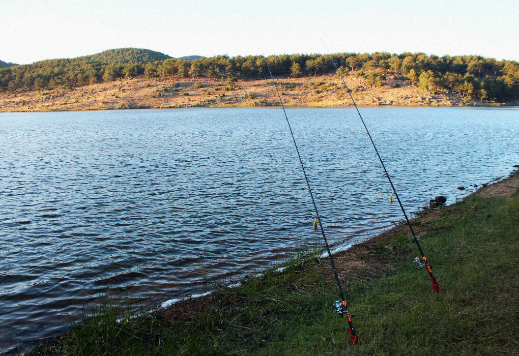 fishing rods on grass, mounted for bass fishing