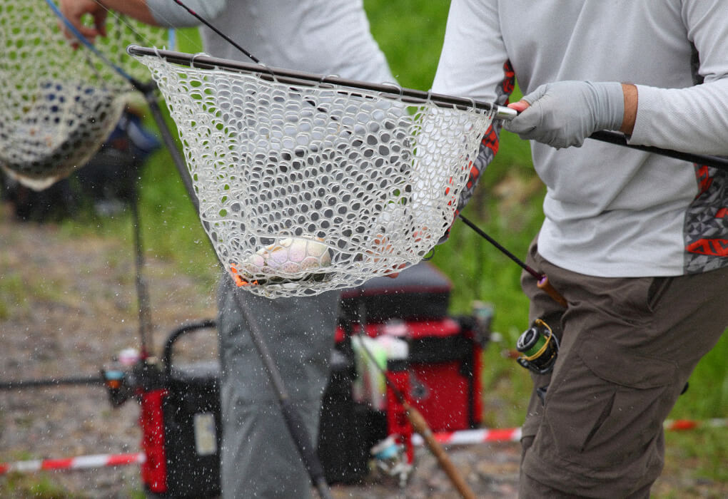 trout caught in a fishing net using a spinning rod and reel combo