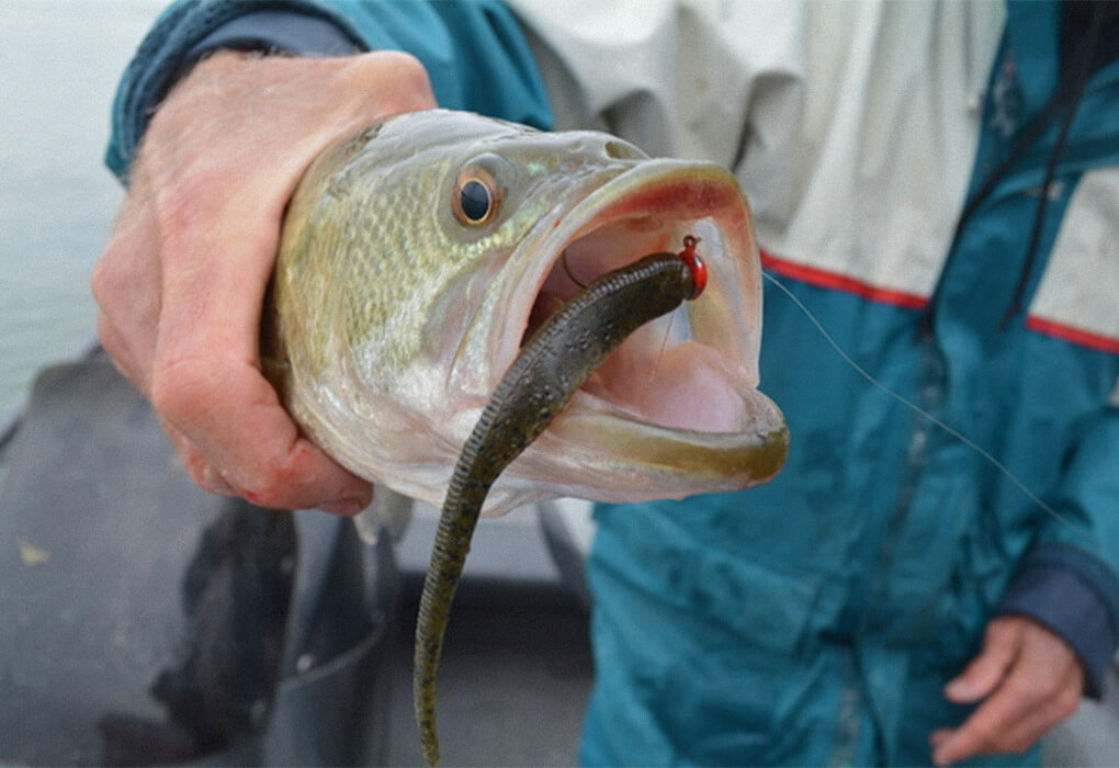 Looking for some deals on baits that bass will bite? We have them for you. (Photo by Brent Frazee)