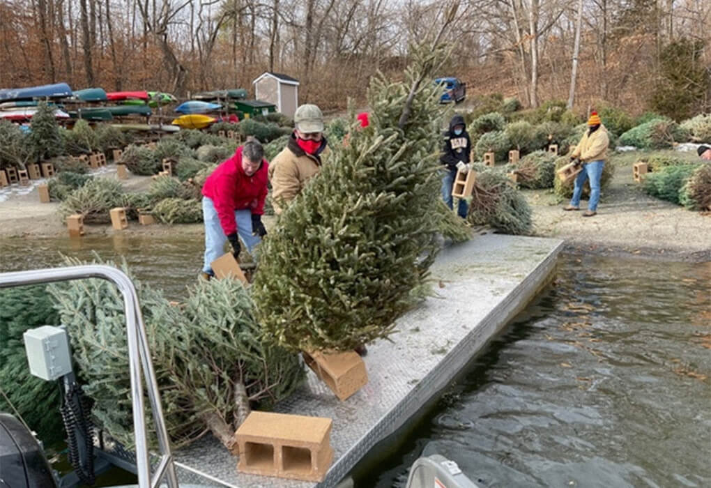 Recycled Christmas trees can make great fish cover. (Photo by Brent Frazee)