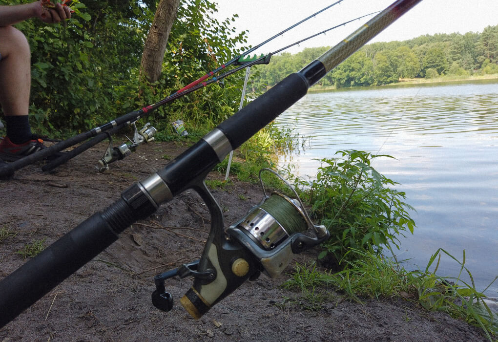 using a rod and a spinning reel to fish from shore