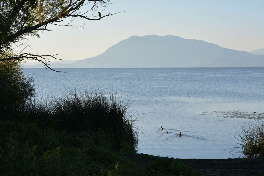 Clear Lake - California