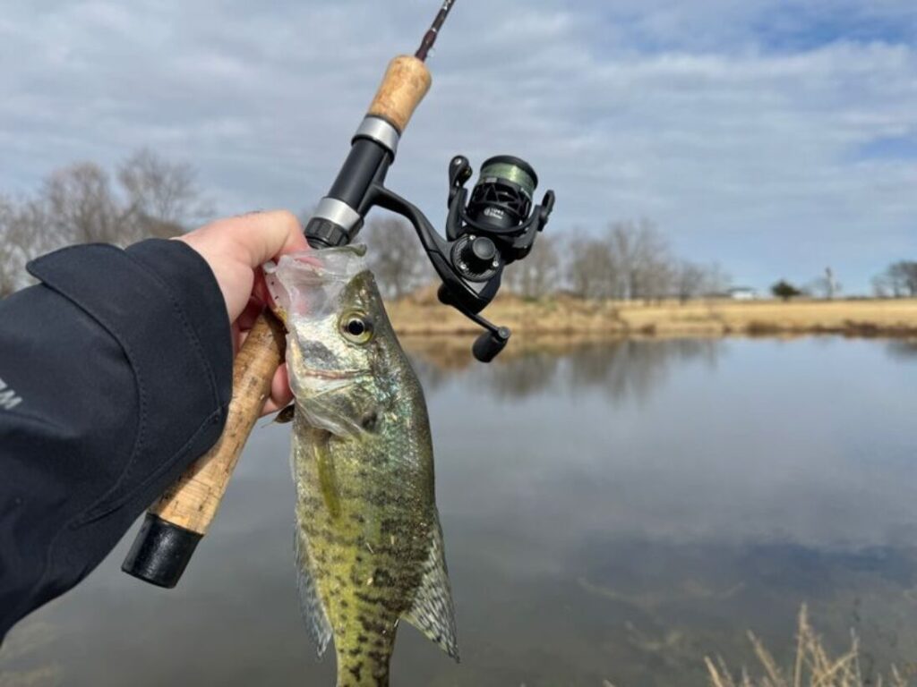 My rod, Piscifun Carbon X reel, and my catch for the day